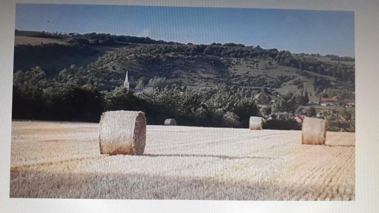 Studio Du Gite Wavrans-sur-l'Aa Exteriér fotografie